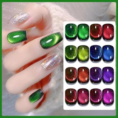 12D Laser Magnetic Cat Eye Gel Nail Polish